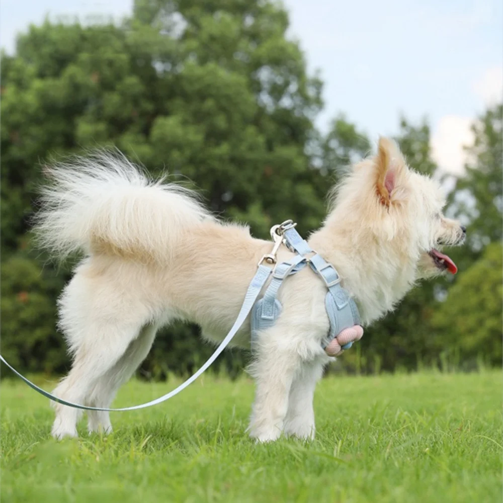 Versace Blue and Pink Dog Travel Carrier